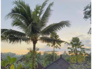 jambangan bali private pool villa