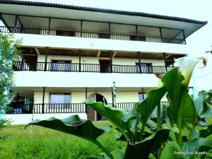 贝拉维斯塔乡村民宿 - Pavas