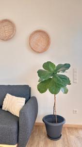 AMAO-Obsidian - Spacious Apartment - 8 Guests - 2 Parking Spaces