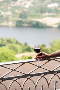 Douro Palace Hotel Resort & SPA