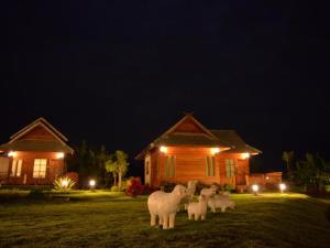 Tarnjedton Pai Resort