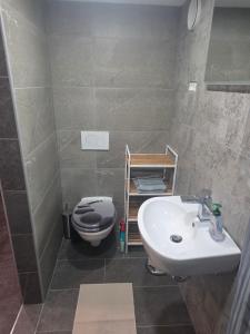 Apartment SIJ