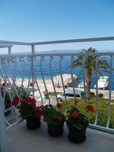 Apartments Cobrnic