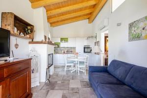 Umbrian olive grove cottage- pool & garden retreat