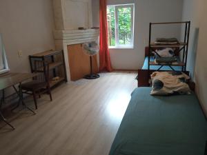 studio with a fireplace