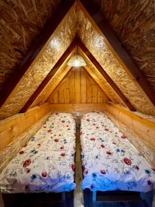 Campground Ataraxia