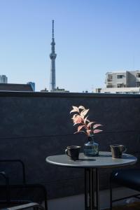 Tokyo Skytree House