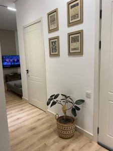 Teos sweet home