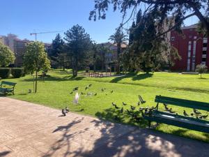 Two Bedroom Apartment near Slovenska Beach