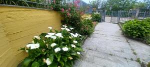 B&B Leonda