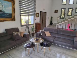 Maison Loft with Pool, Yasmine Hammamet