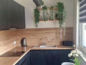 Apartament Grey Polana Szaflarska 6B Nowy Targ
