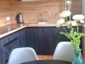 Apartament Grey Polana Szaflarska 6B Nowy Targ