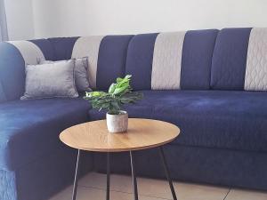 Apartament Grey Polana Szaflarska 6B Nowy Targ