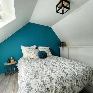Le cocon bleu T3 Hypercentre Angers