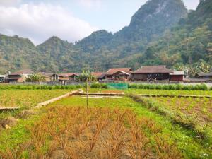 Nùng An homestay-Nùng ethnic group