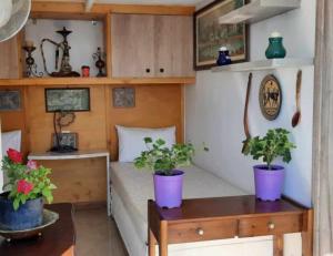 Seaside Ntounas Apartments - Ammoudara Triple Gem