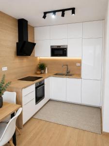 KOPČIANKA Apartment & Free Parking