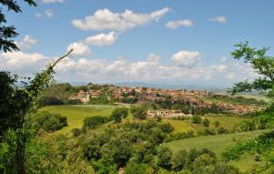 Awesome Apartment In Murlo With House A Panoramic View