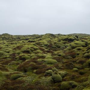 Hótel Bifröst