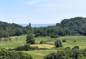 Il Borgo Apartments