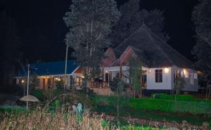 Lushoto Kaya Wald Stay