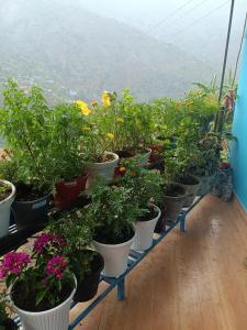 Aashirvad Home Stay