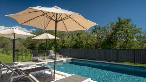 Modern villa Bibali Istra with pool in Buje