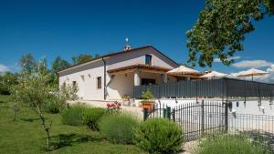 Modern villa Bibali Istra with pool in Buje