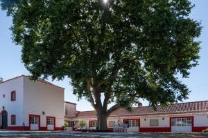 Quinta da Torre