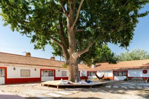 Quinta da Torre