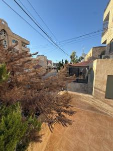 spacious ground apartment with Sunny Terrace