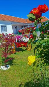 Apartman Villa Ruža
