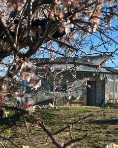 Batzanemi Guest House and Farm