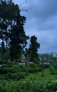 Vedus Hill Aura Kodaikanal