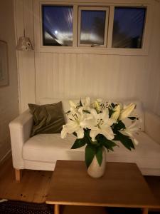 Nice Summer House With Sea View