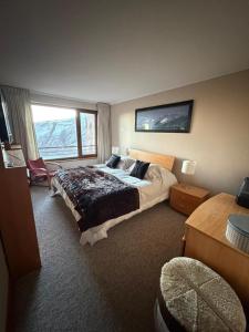 HOM I Cordillera I SKI IN y OUT I Jacuzzi-Piscina VL201