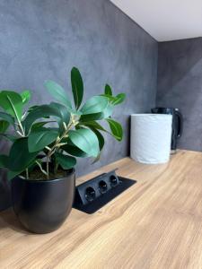 Avliga Designer Residence