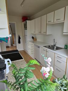 Cozy Townhouse Near Beach Harbor And Lalandia