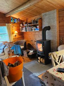 Charming Norwegian Log Cabin With Grass Roof