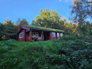Charming Norwegian Log Cabin With Grass Roof
