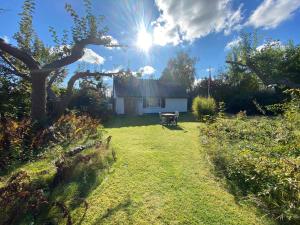 Charming Thatched-Roof Cottage From 1947