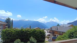 Panorama 14
