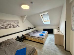 Teplice apartments DELUXE
