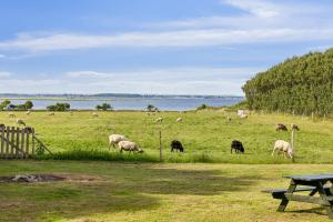 Holiday Apartment With Sea View On Strynø