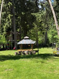 Pensiunea Carpatic Trei Brazi Predeal