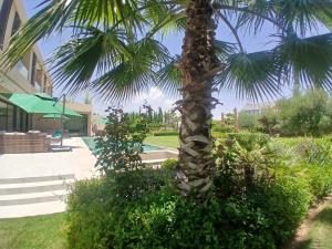 Dream Home Luxury Villa in Amelkis Resort