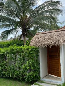 Arunta Samui