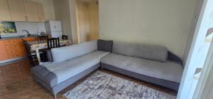 Aprtament for rent