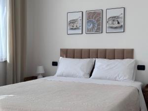 Villa Monte Calvia img24